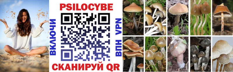 Псилоцибиновые грибы Psilocybine cubensis  Олёкминск 